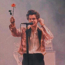 i heart harry