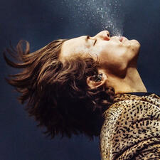 harries comfort