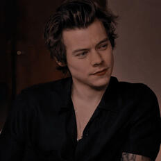 harryflix
